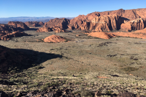 Eine malerische Aussicht auf den Valley of Fire State Park in Nevada, mit saftigem Grün auf dem Boden und rollenden Hügeln im Hintergrund sowie einem strahlend blauen Himmel darüber.