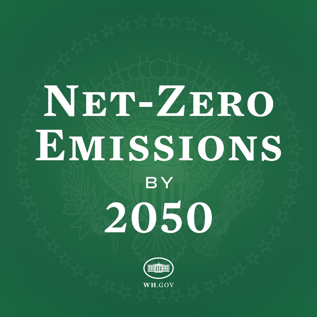 Weißer Text auf grünem Hintergrund, der "netto-null-Emissionen bis 2050" in fetter Schrift enthält.