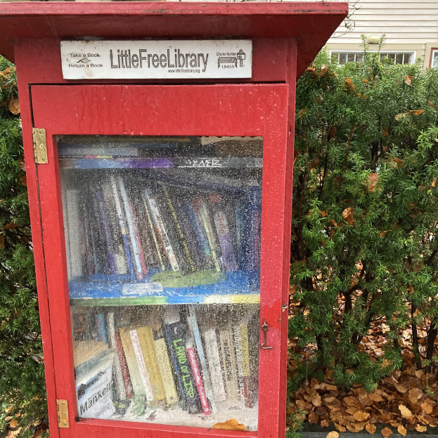 Eine kleine rote Bücherei steht vor einem Haus, gefüllt mit Büchern und umgeben von Bäumen mit abgefallenen Blättern.