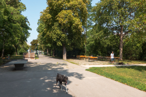 Ein Hund spaziert einen Weg in einem Park entlang, mit Gras auf beiden Seiten, Bäumen, Bänken, Menschen, Pfählen und einem klaren blauen Himmel im Hintergrund und einem Tischtennis-Tisch auf der linken Seite.