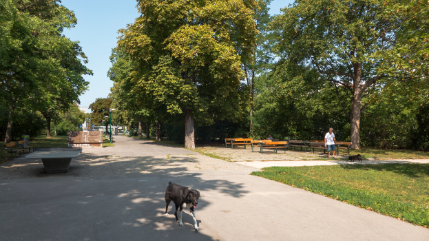 Ein Hund spaziert einen Weg in einem Park entlang, mit Gras auf beiden Seiten, Bäumen, Bänken, Menschen, Pfählen und einem klaren blauen Himmel im Hintergrund und einem Tischtennis-Tisch auf der linken Seite.