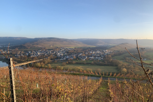 Ein malerischer Ausblick auf das Rheintal von einem Hügel aus, mit grünen Blättern, Häusern und einer Brücke, die den Fluss überspannt, vor einem blauen Himmel mit welligen Hügeln im Hintergrund.