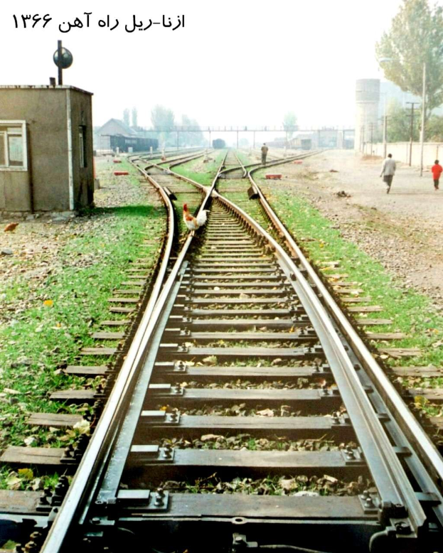 Ein Vogel sitzt auf einem Bahngleis umgeben von Gras und Steinen, mit Menschen in der Nähe, Bäumen, Pfählen, Gebäuden und dem Himmel im Hintergrund und Text oben.