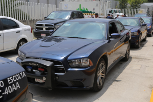 Eine Gruppe von Polizeiwagen nebeneinander auf einem Parkplatz geparkt, mit Menschen im Vordergrund auf der Straße stehend, ein Zaun, Bäume, Gebäude und einen klaren blauen Himmel im Hintergrund.