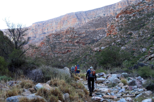 Gruppe von Menschen beim Wandern auf einem steinigen Pfad mit Gras, Pflanzen, Bäumen und Hügeln unter einem klaren blauen Himmel.