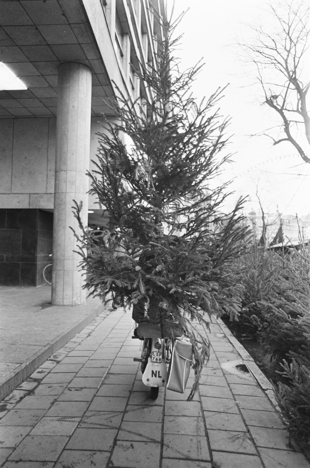 Ein Schwarz-Weiß-Foto eines Fahrrads mit einem Weihnachtsbaum auf dem Gepäckträger, das vor einem Gebäude mit Säulen und Deckenleuchten geparkt ist, mit Pflanzen rechts und Gebäuden und Himmel im Hintergrund.
