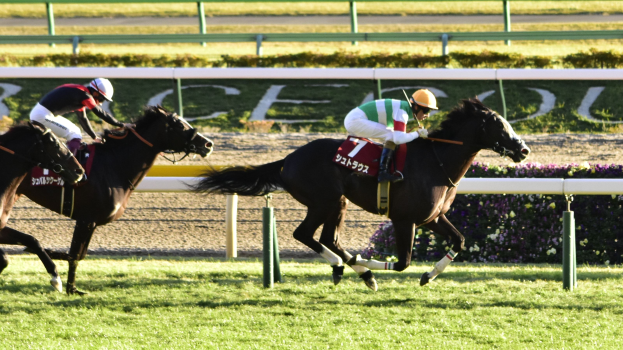 Outsider Gua Lipa Wins Diana Trial in Hoppegarten