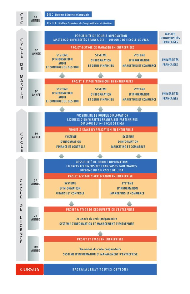 Diagramm, das die Organisationsstruktur eines Unternehmens mit Phasen des Geschäfts growth und Entwicklung darstellt, dargestellt durch verbundene Kästchen und beschreibenden Text.