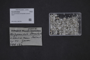 Ein kleiner Plastikbehälter mit weißen Papierfetzen steht neben einem Blatt Papier mit Text auf einer schwarzen Oberfläche.