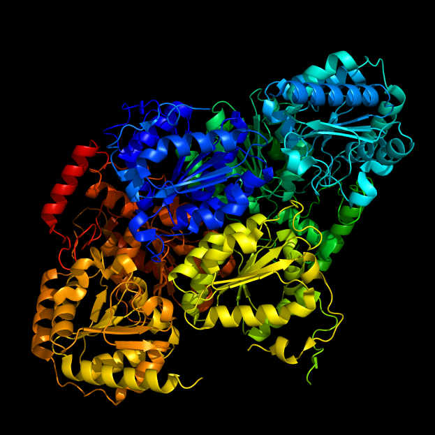Ein 3D-Modell eines Proteinmoleküls in Form eines menschlichen Gehirns mit farbigen Bändern vor einem schwarzen Hintergrund.