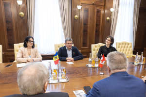 Eine Gruppe von Menschen sitzt um einen Holztisch in einer formellen Umgebung, diskutiert mit EU-bezogenen Materialien und Gegenständen auf dem Tisch.