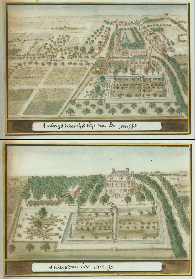 Zwei nebeneinanderliegende Bilder einer Stadtkarte mit hohen Gebäuden, dichter Vegetation und leuchtenden Pflanzen, mit Text am unteren Rand des Papiers.